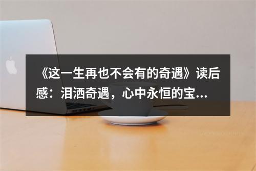 《這一生再也不會(huì)有的奇遇》讀后感：淚灑奇遇，心中永恒的寶藏 (1050字)