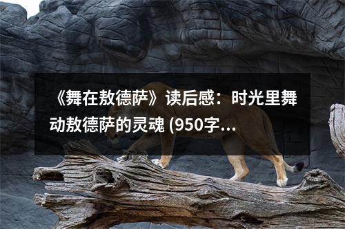 《舞在敖德薩》讀后感：時(shí)光里舞動(dòng)敖德薩的靈魂 (950字)