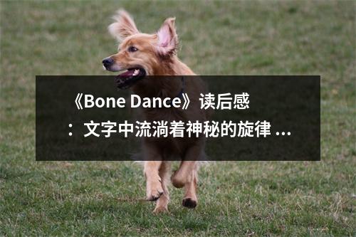 《Bone Dance》讀后感：文字中流淌著神秘的旋律 (750字)