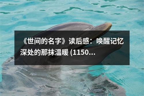 《世間的名字》讀后感：喚醒記憶深處的那抹溫暖 (1150字)
