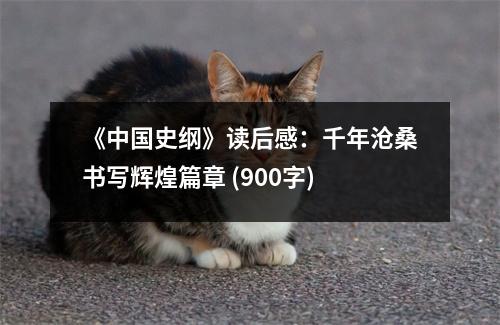 《中國史綱》讀后感：千年滄桑書寫輝煌篇章 (900字)