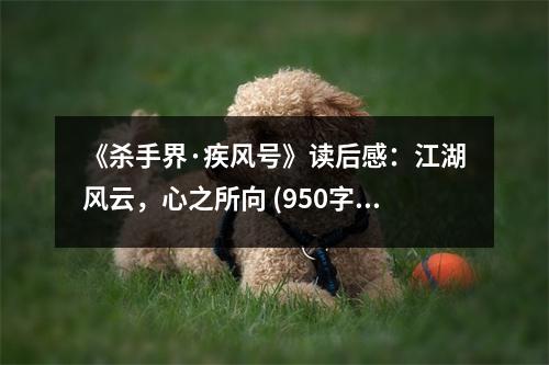 《殺手界·疾風(fēng)號》讀后感：江湖風(fēng)云，心之所向 (950字)