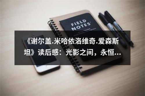 《謝爾蓋.米哈依洛維奇.愛森斯坦》讀后感：光影之間，永恒的藝術(shù)追尋 (800字)