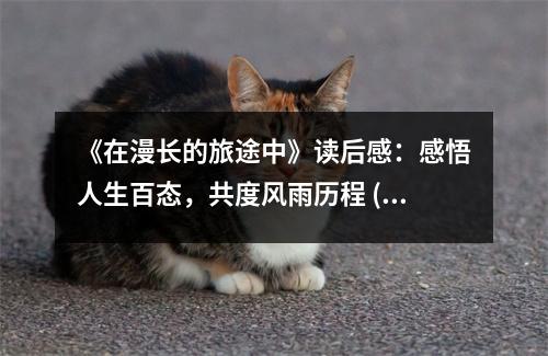 《在漫長的旅途中》讀后感：感悟人生百態(tài)，共度風(fēng)雨歷程 (800字)