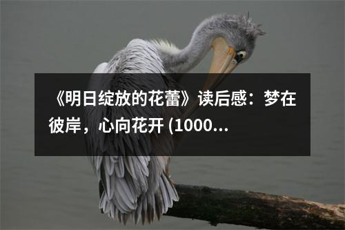《明日綻放的花蕾》讀后感：夢在彼岸，心向花開 (1000字)