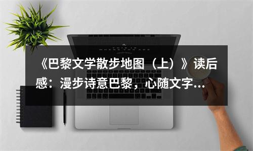 《巴黎文學(xué)散步地圖（上）》讀后感：漫步詩意巴黎，心隨文字飛揚(yáng) (950字)