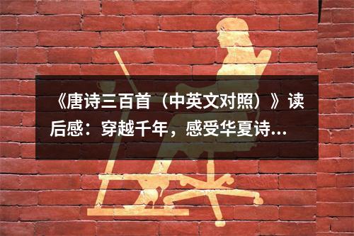 《唐詩三百首（中英文對照）》讀后感：穿越千年，感受華夏詩韻 (750字)