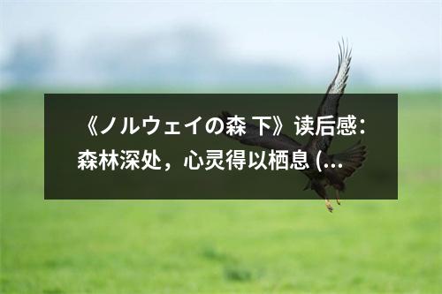 《ノルウェイの森 下》讀后感：森林深處，心靈得以棲息 (800字)
