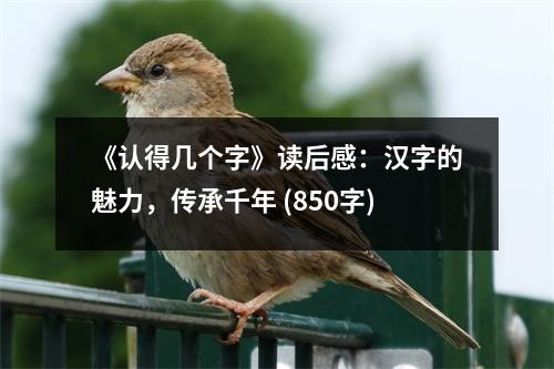《認(rèn)得幾個(gè)字》讀后感：漢字的魅力，傳承千年 (850字)