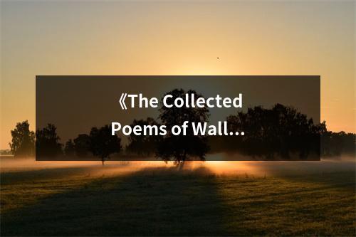 《The Collected Poems of Wallace Stevens》讀后感：凝視心靈深處的宇宙 (900字)