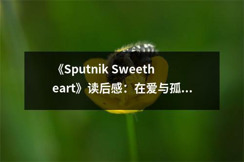 《Sputnik Sweetheart》讀后感：在愛(ài)與孤獨(dú)的邊緣徘徊 (1100字)