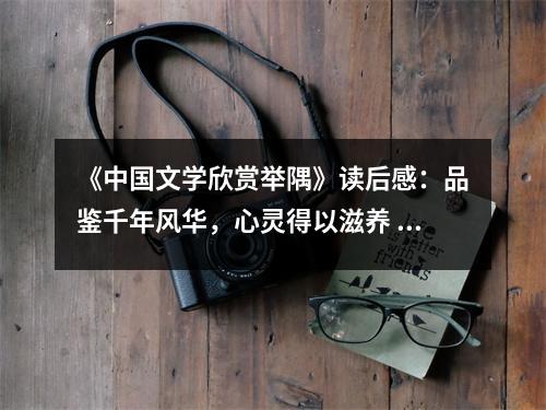 《中國(guó)文學(xué)欣賞舉隅》讀后感：品鑒千年風(fēng)華，心靈得以滋養(yǎng) (700字)