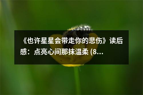 《也許星星會帶走你的悲傷》讀后感：點亮心間那抹溫柔 (800字)