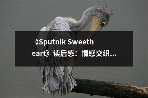 《Sputnik Sweetheart》讀后感：情感交織的甜蜜之旅 (700字)