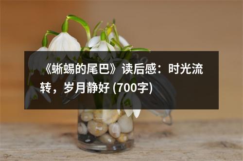 《蜥蜴的尾巴》讀后感：時光流轉，歲月靜好 (700字)