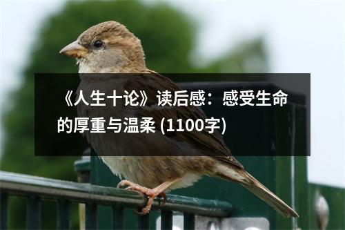 《人生十論》讀后感：感受生命的厚重與溫柔 (1100字)