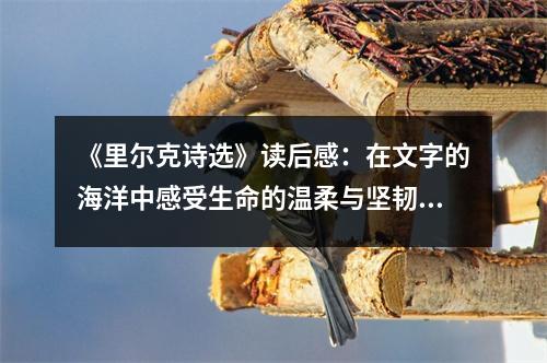 《里爾克詩選》讀后感：在文字的海洋中感受生命的溫柔與堅韌 (750字)