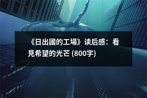 《日出國的工場》讀后感：看見希望的光芒 (800字)