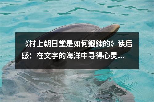 《村上朝日堂是如何鍛鍊的》讀后感：在文字的海洋中尋得心靈的歸宿 (850字)