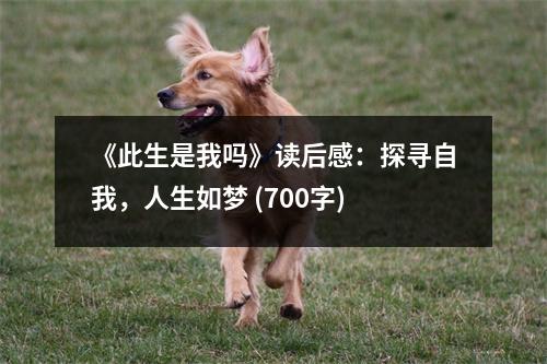 《此生是我嗎》讀后感：探尋自我，人生如夢 (700字)