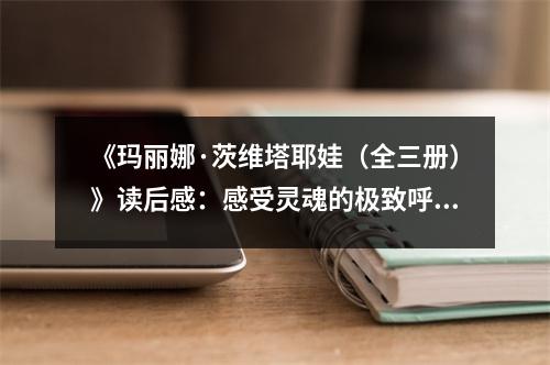 《瑪麗娜·茨維塔耶娃（全三冊）》讀后感：感受靈魂的極致呼喚 (700字)