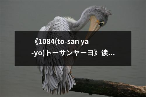 《1084(to-san ya-yo)トーサンヤーヨ》讀后感：心靈之旅，感悟無盡人生 (600字)