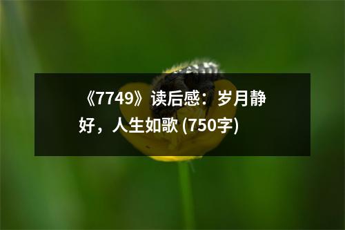 《7749》讀后感：歲月靜好，人生如歌 (750字)