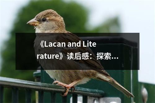 《Lacan and Literature》讀后感：探索心理與文學(xué)的交織之美 (1150字)