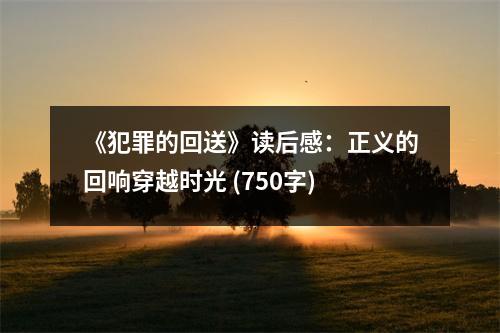 《犯罪的回送》讀后感：正義的回響穿越時光 (750字)