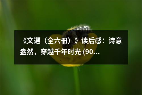 《文選（全六冊）》讀后感：詩意盎然，穿越千年時光 (900字)