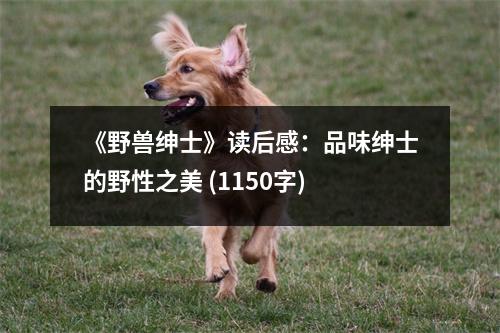 《野獸紳士》讀后感：品味紳士的野性之美 (1150字)