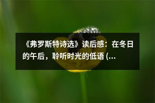 《弗羅斯特詩選》讀后感：在冬日的午后，聆聽時光的低語 (850字)