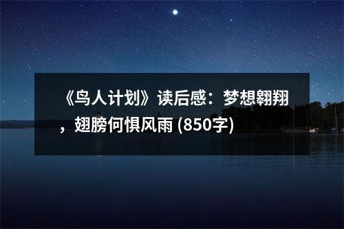 《鳥(niǎo)人計(jì)劃》讀后感：夢(mèng)想翱翔，翅膀何懼風(fēng)雨 (850字)