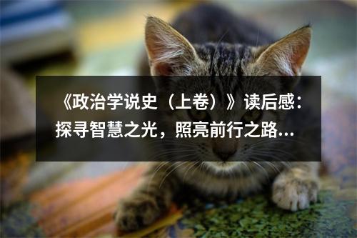 《政治學(xué)說史（上卷）》讀后感：探尋智慧之光，照亮前行之路 (800字)