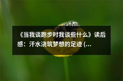 《當(dāng)我談跑步時我談些什么》讀后感：汗水澆筑夢想的足跡 (800字)