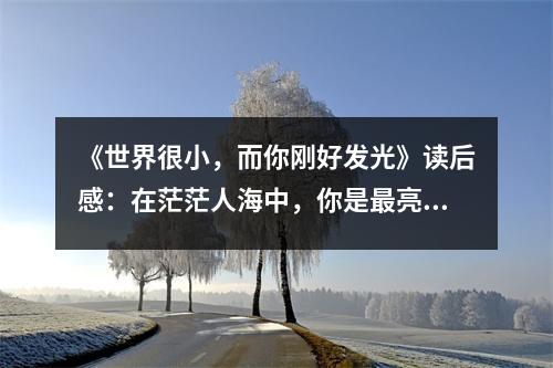 《世界很小，而你剛好發(fā)光》讀后感：在茫茫人海中，你是最亮的光芒 (800字)