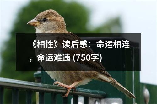 《相性》讀后感：命運相連，命運難違 (750字)