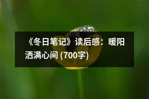 《冬日筆記》讀后感：暖陽(yáng)灑滿心間 (700字)