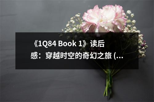 《1Q84 Book 1》讀后感：穿越時空的奇幻之旅 (1100字)