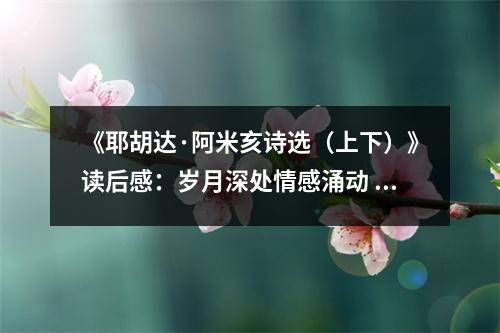 《耶胡達·阿米亥詩選（上下）》讀后感：歲月深處情感涌動 (900字)