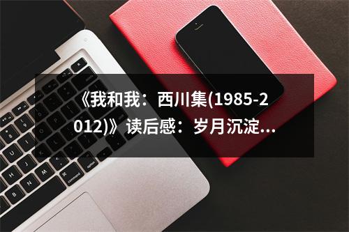 《我和我：西川集(1985-2012)》讀后感：歲月沉淀，詩心依舊 (750字)