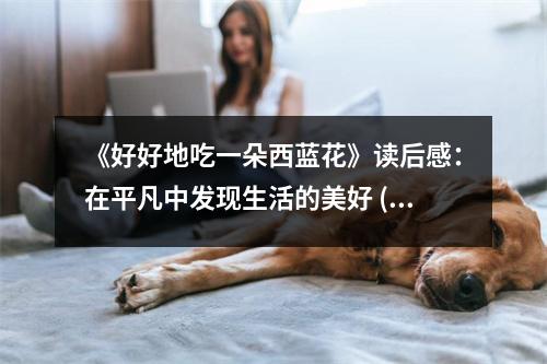 《好好地吃一朵西藍(lán)花》讀后感：在平凡中發(fā)現(xiàn)生活的美好 (850字)
