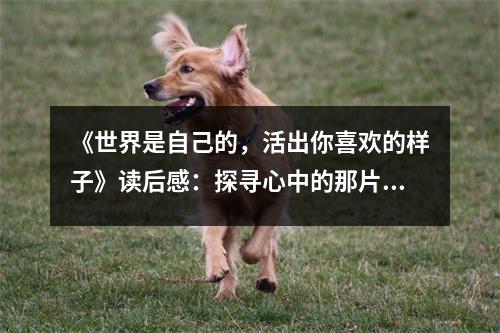 《世界是自己的，活出你喜歡的樣子》讀后感：探尋心中的那片璀璨星空 (1150字)