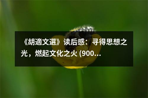 《胡適文選》讀后感：尋得思想之光，燃起文化之火 (900字)