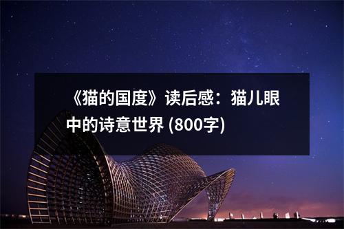 《貓的國(guó)度》讀后感：貓兒眼中的詩(shī)意世界 (800字)