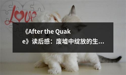 《After the Quake》讀后感：廢墟中綻放的生命之花 (750字)