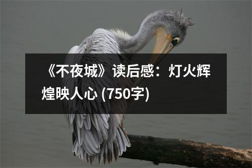 《不夜城》讀后感：燈火輝煌映人心 (750字)