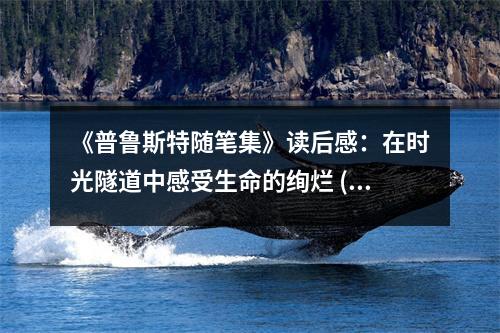 《普魯斯特隨筆集》讀后感：在時光隧道中感受生命的絢爛 (1200字)