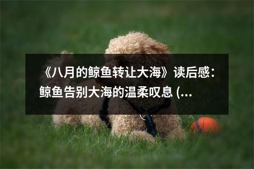《八月的鯨魚轉(zhuǎn)讓大?！纷x后感：鯨魚告別大海的溫柔嘆息 (700字)