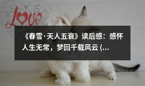 《春雪·天人五衰》讀后感：感懷人生無常，夢回千載風(fēng)云 (950字)